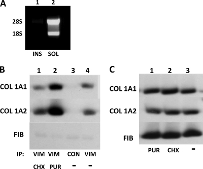 Fig. 10.