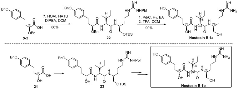 Scheme 5