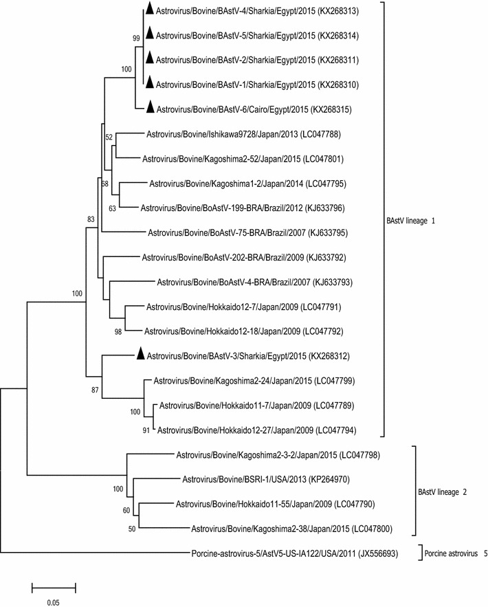 Fig. 4