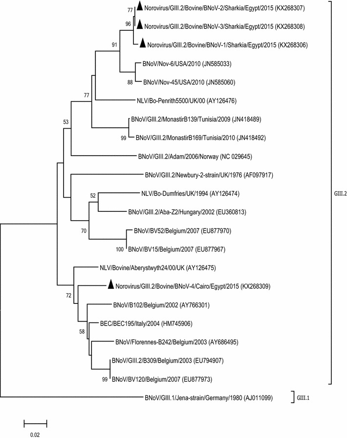 Fig. 3