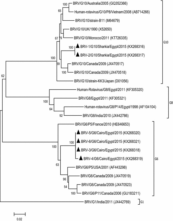 Fig. 2