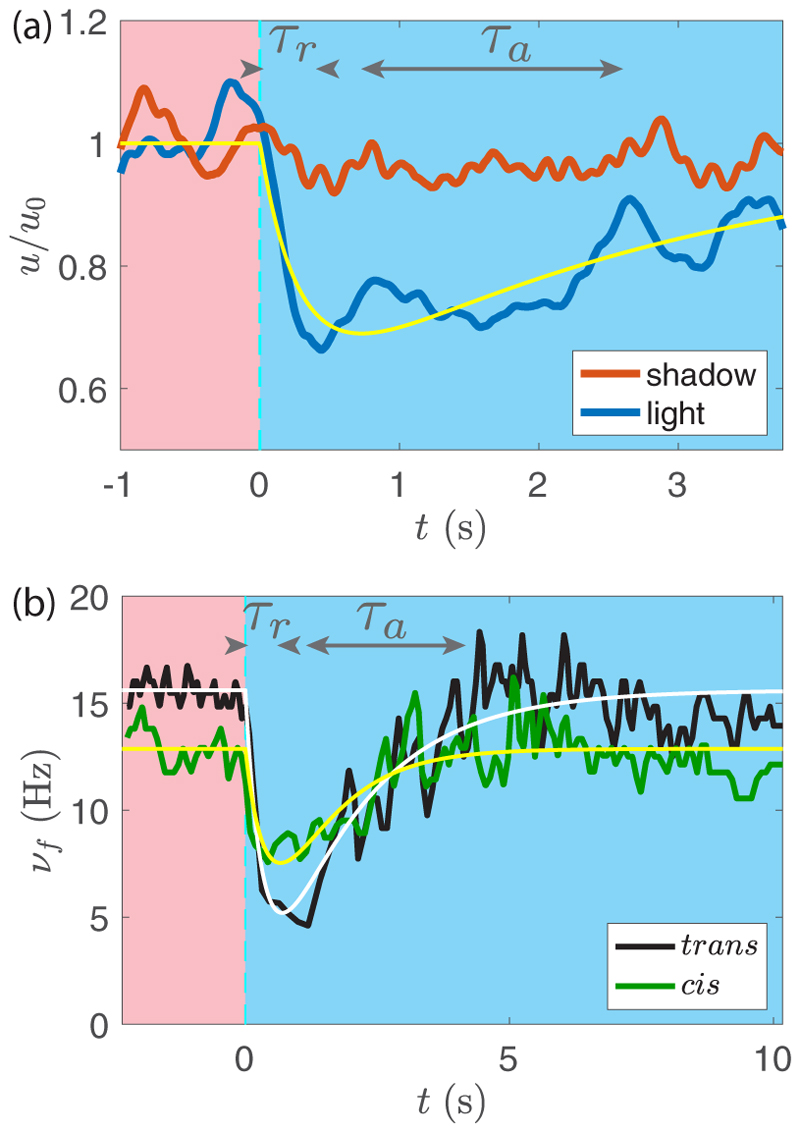 Fig. 9