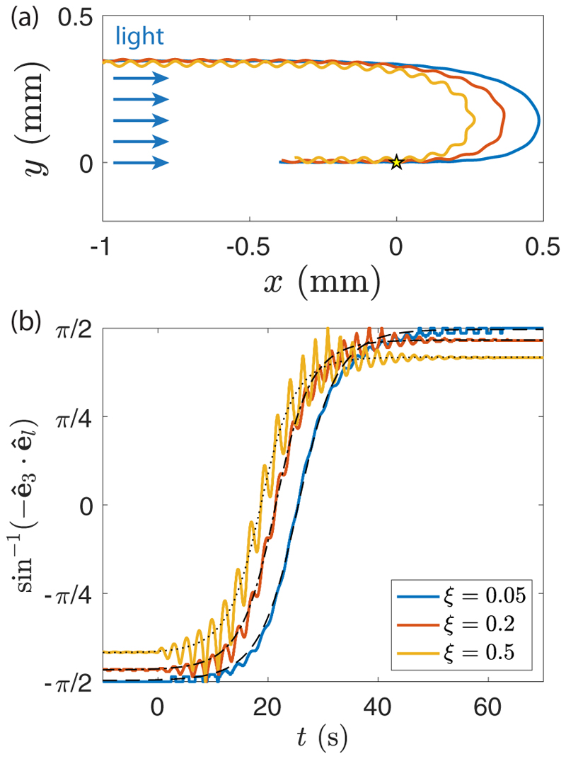 Fig. 11