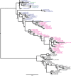 Figure 5—figure supplement 1.