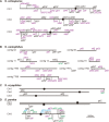 Figure 1—figure supplement 1.