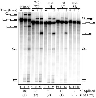 Figure 5