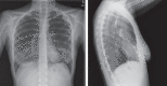 Figure 1.