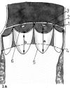 Figure 1a