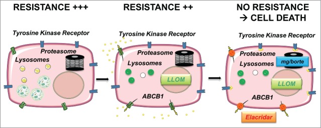 Figure 10.