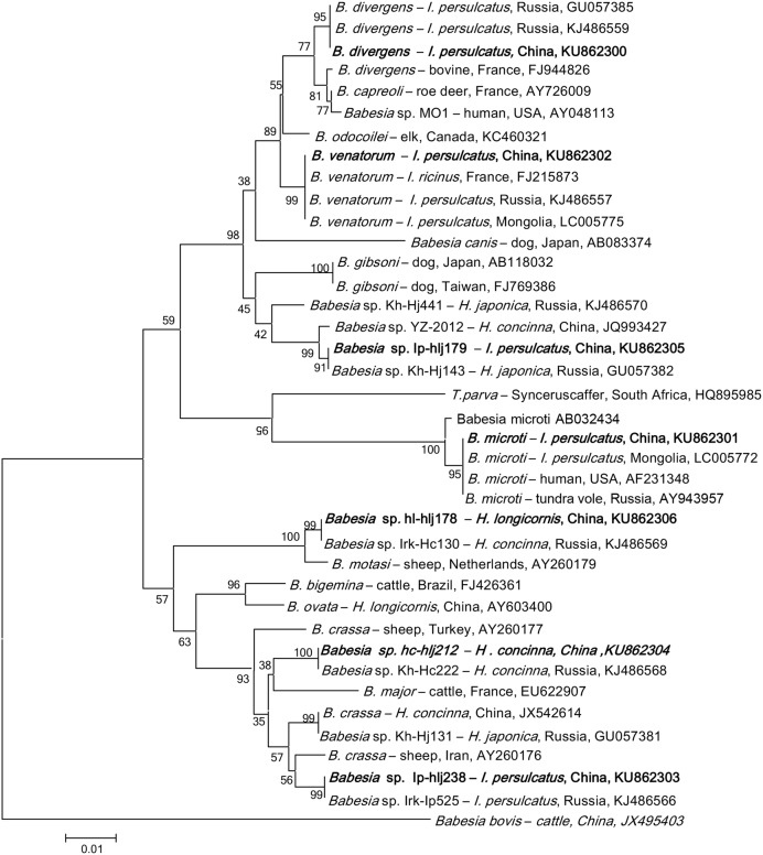 FIGURE 3