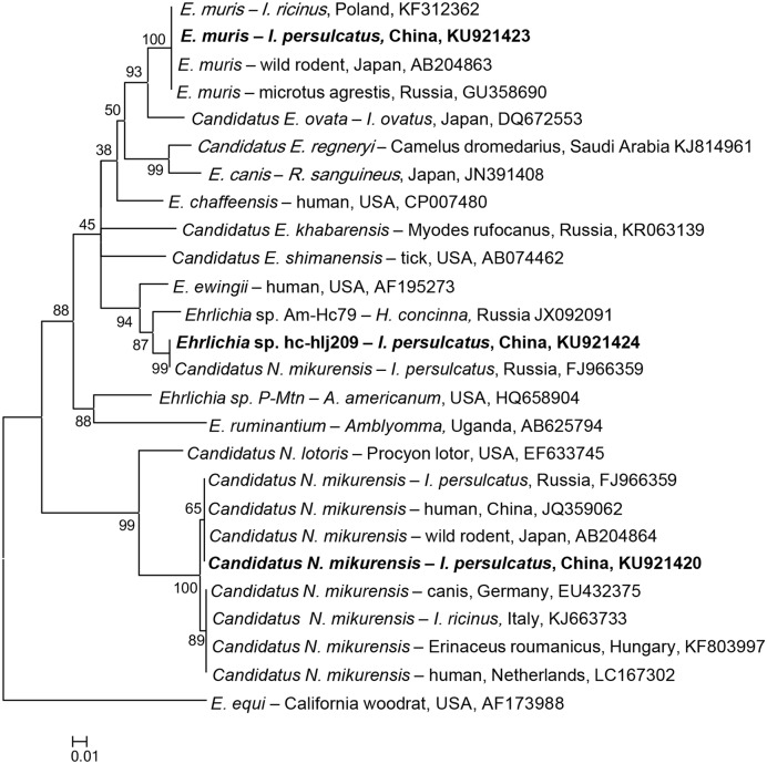 FIGURE 2