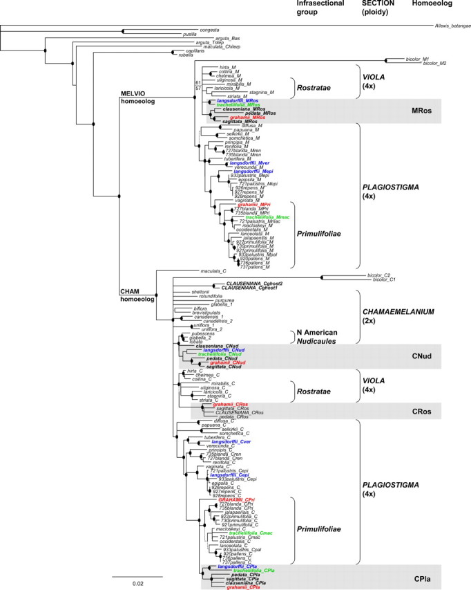 FIGURE 1.