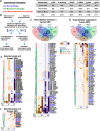 Fig. 11