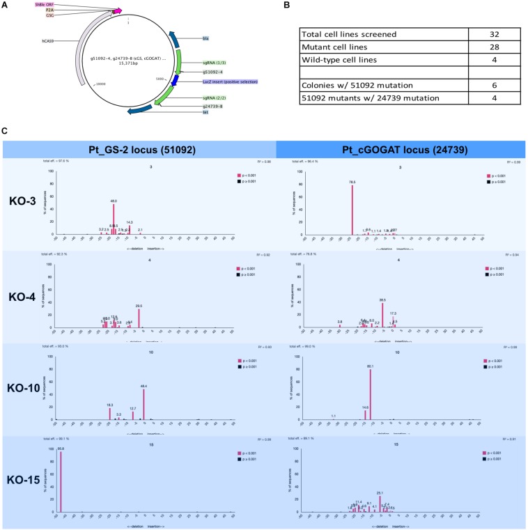 FIGURE 4