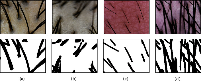 Figure 10