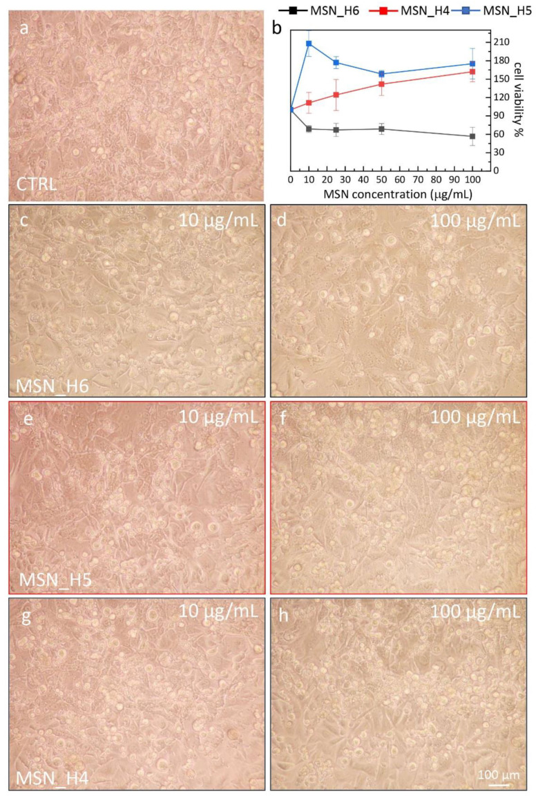 Figure 6