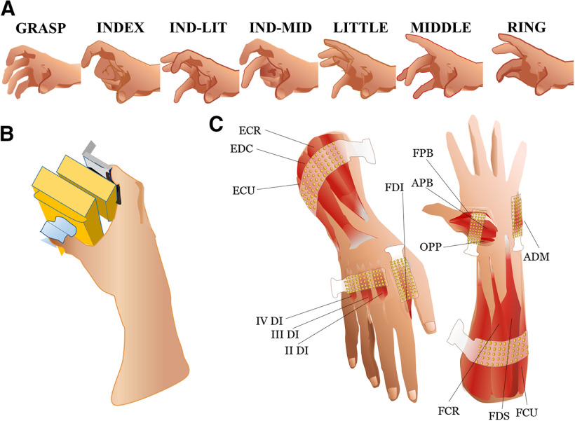 Figure 1.