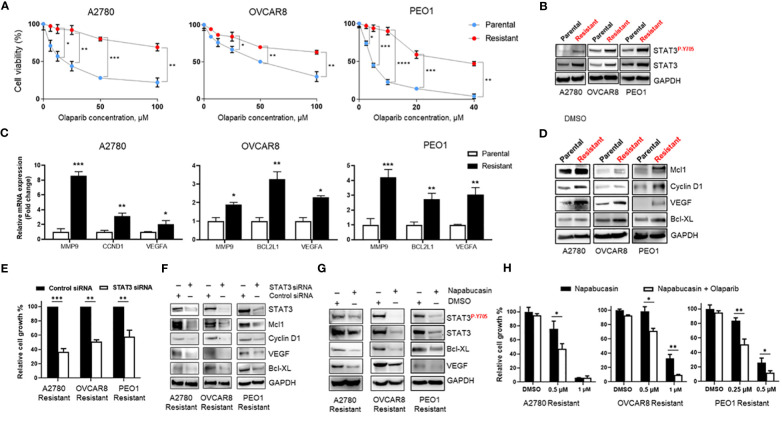 Figure 2