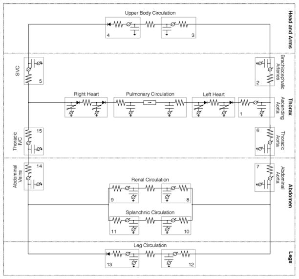 Fig. 8