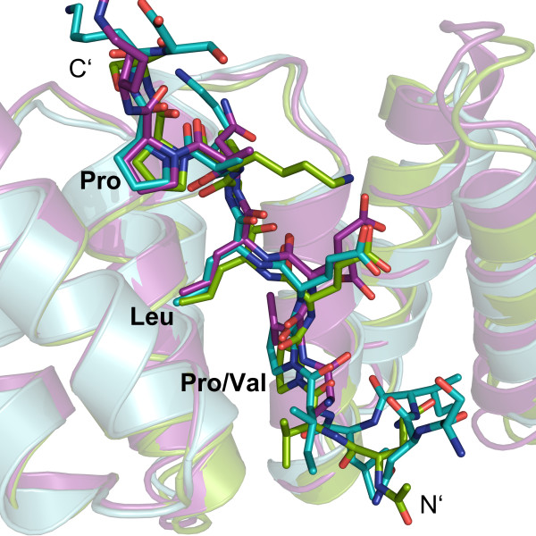 Figure 3 