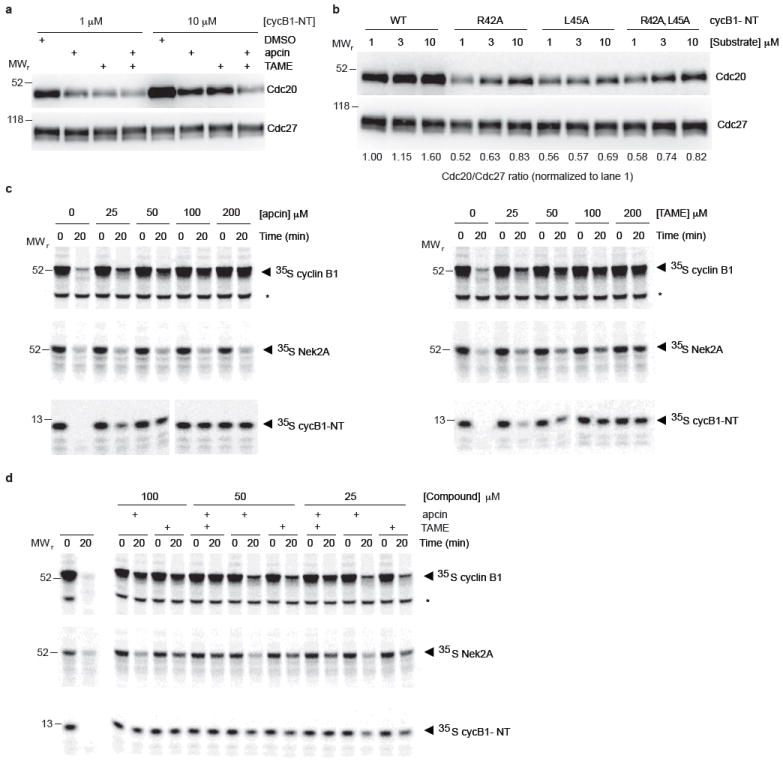 Extended Data Figure 4