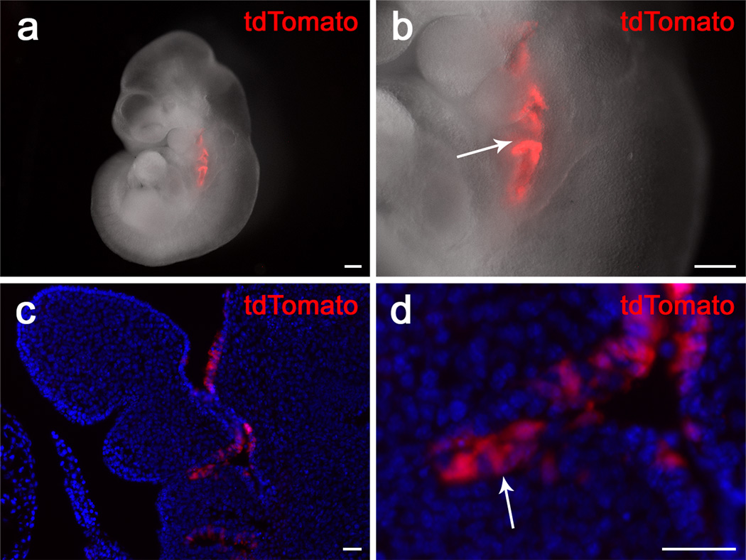 FIG. 3