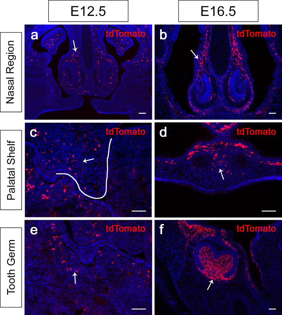 FIG. 4