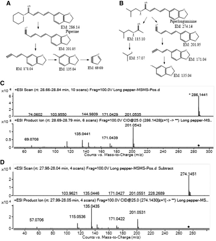 FIG. 7.