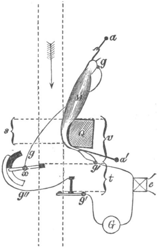 Fig. 9