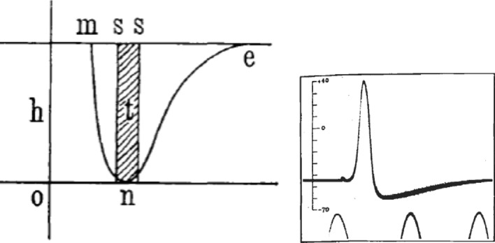 Fig. 16