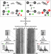 FIG. 4.