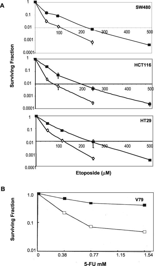 FIG. 7.