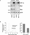 FIG. 6.