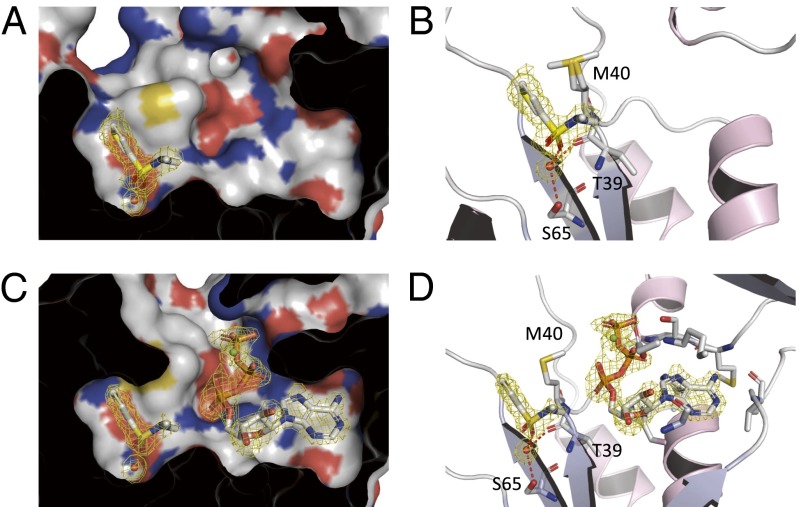 Fig. 4.