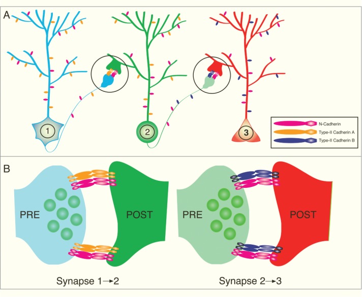 Figure 2.