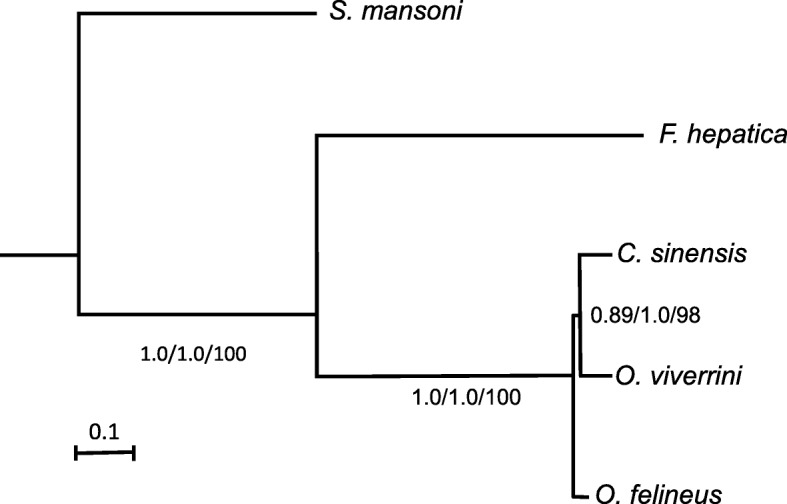 Fig. 3