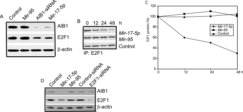 FIG. 5.