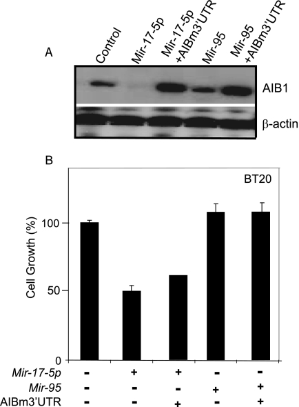 FIG. 8.