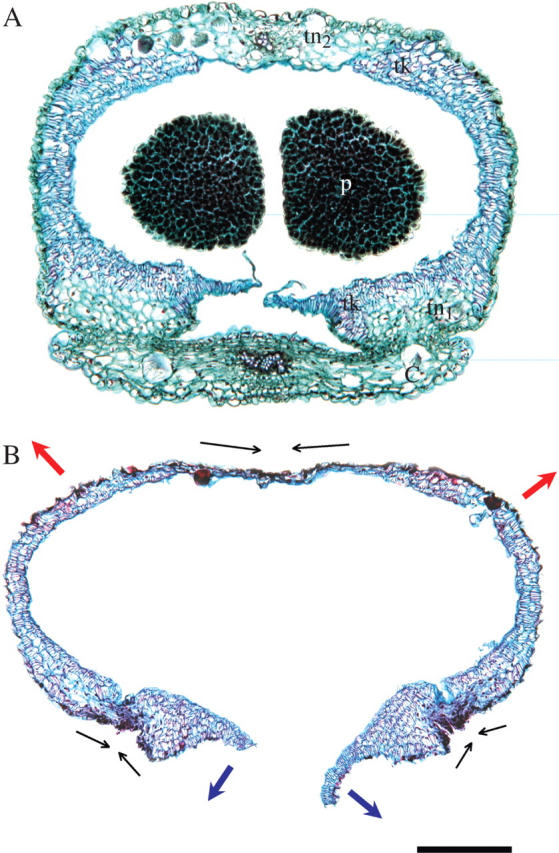 Fig. 5.