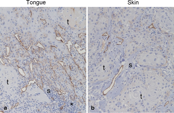 Fig. 8