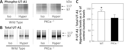 Fig. 9.