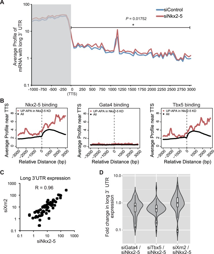 Figure 4—figure supplement 4.