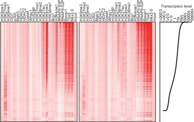 Figure 1—figure supplement 6.