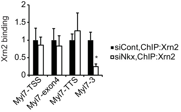 Figure 4—figure supplement 2.