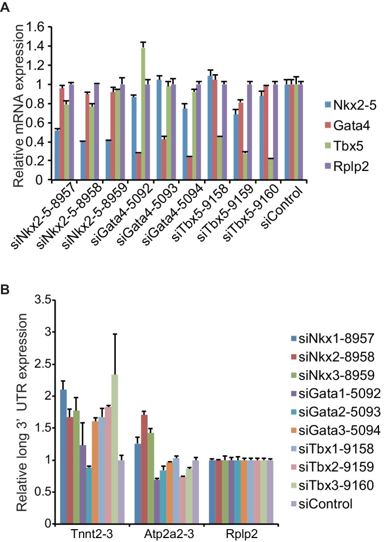 Figure 2—figure supplement 3.