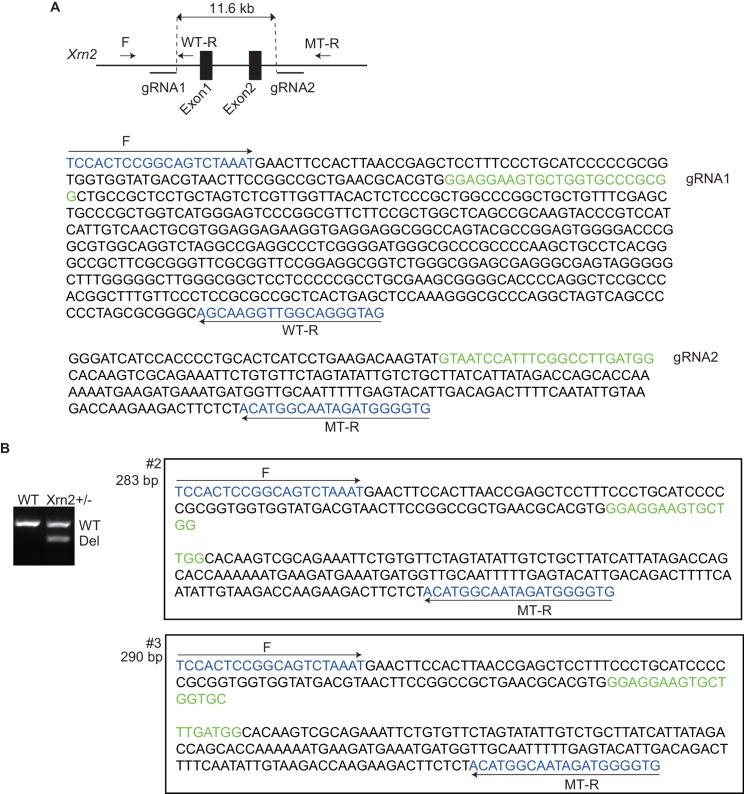 Figure 6—figure supplement 1.