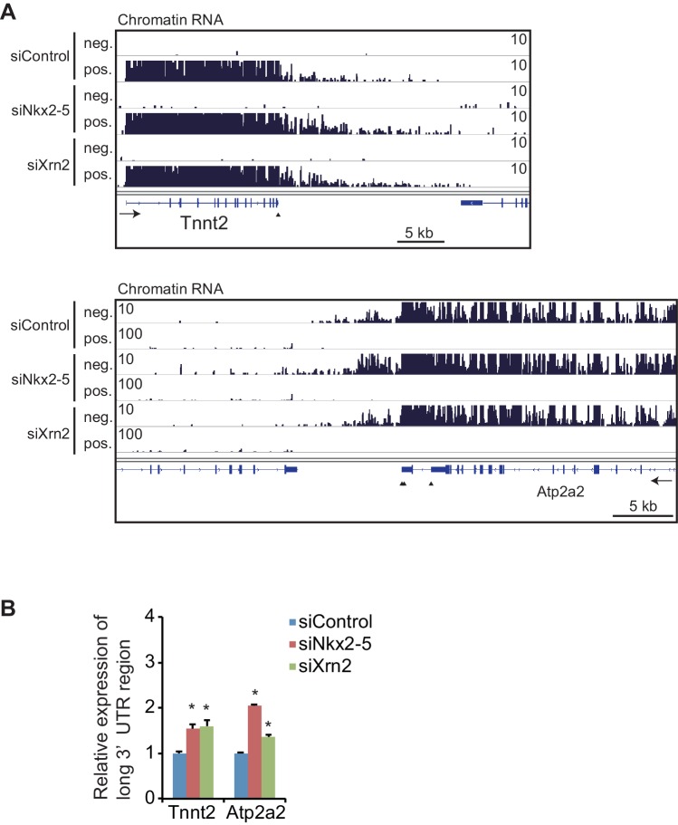 Figure 4—figure supplement 1.