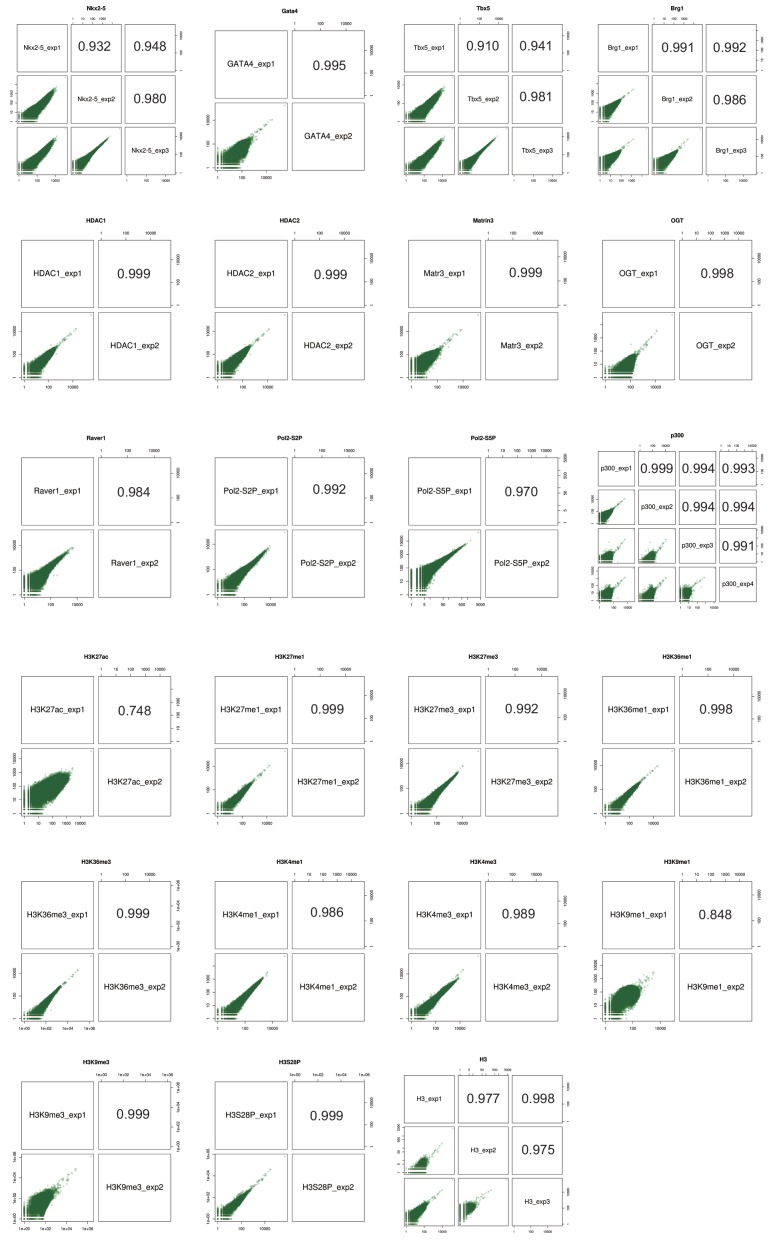 Figure 1—figure supplement 2.