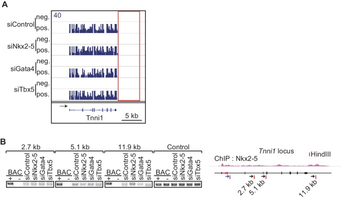 Figure 2—figure supplement 2.