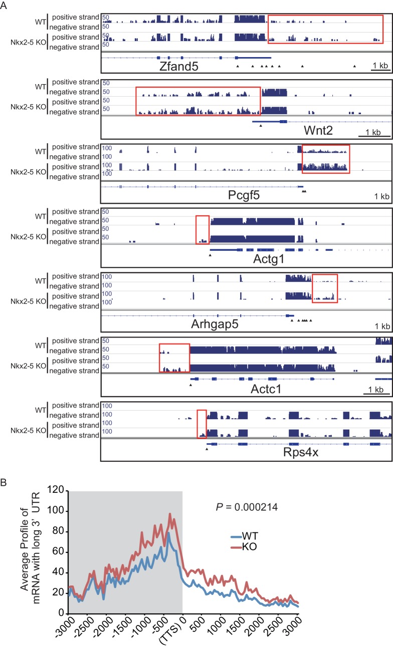 Figure 1—figure supplement 9.